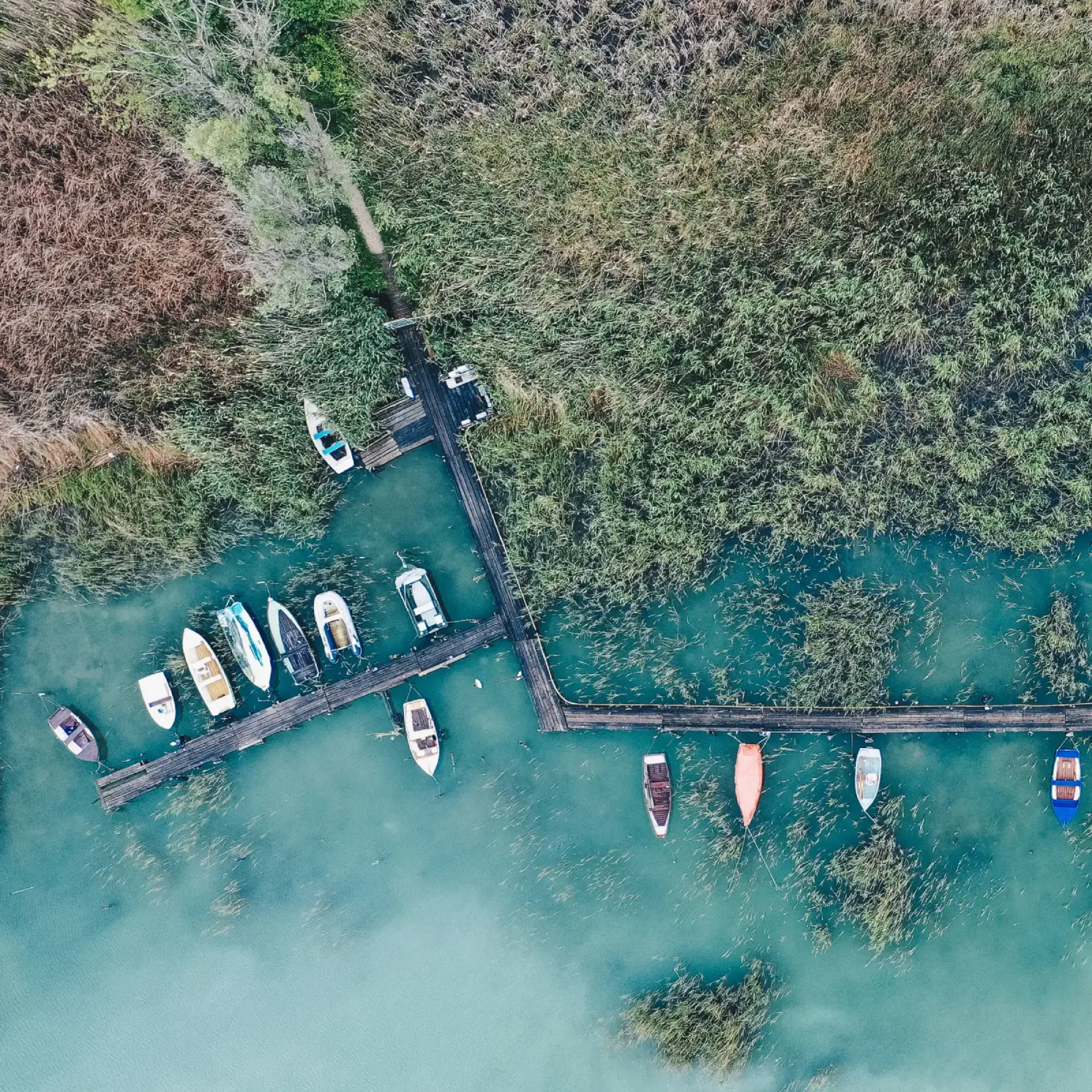 Balaton környéki vállalkozók közös megbeszélésen – az Anima Labor és a BENT Balaton együttműködése. Balaton környéki vállalkozók közös megbeszélésen – az Anima Labor és a BENT Balaton együttműködése.