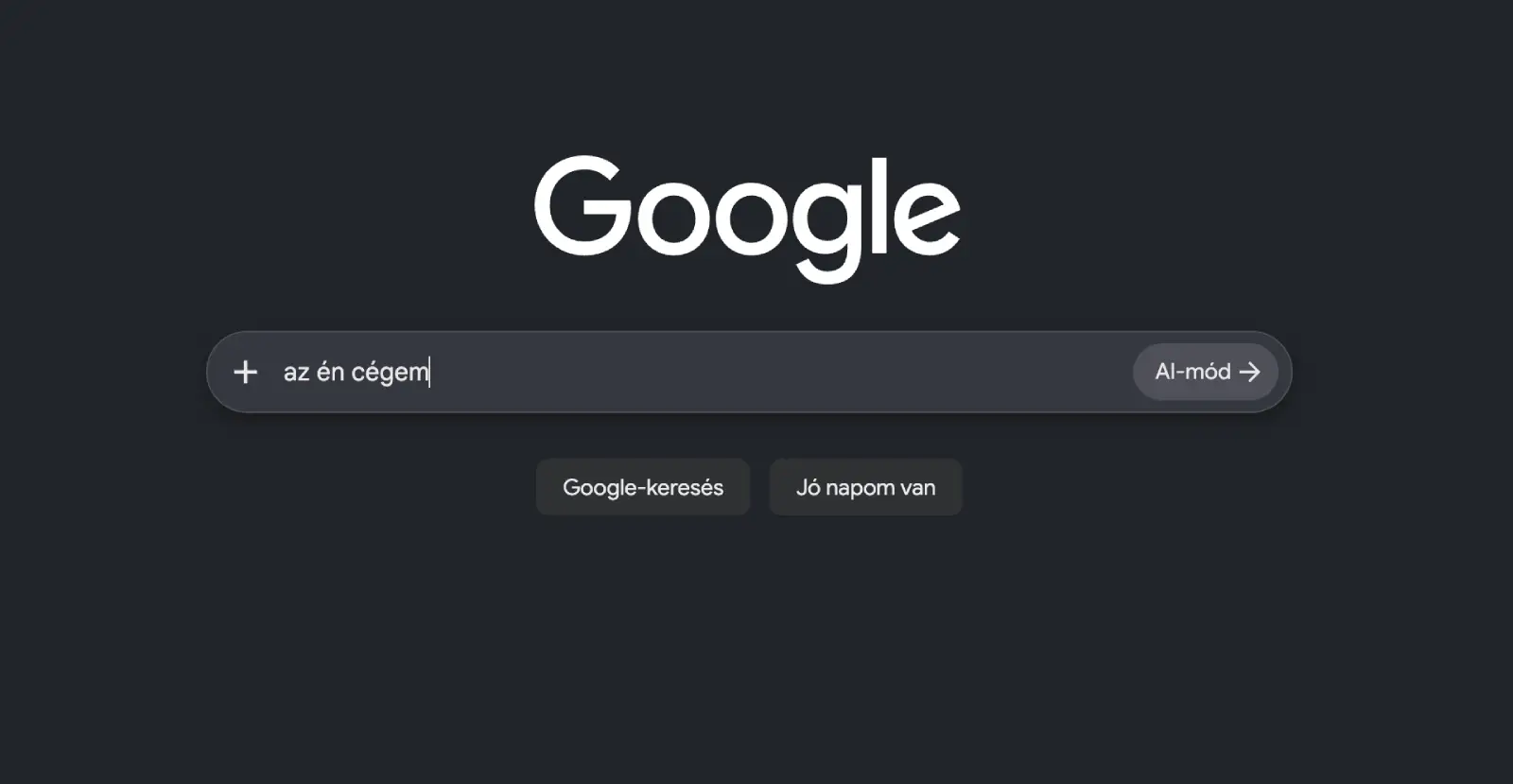 Google kezdőoldal sötét módban, a keresőmezőbe beírva: „az én cégem”